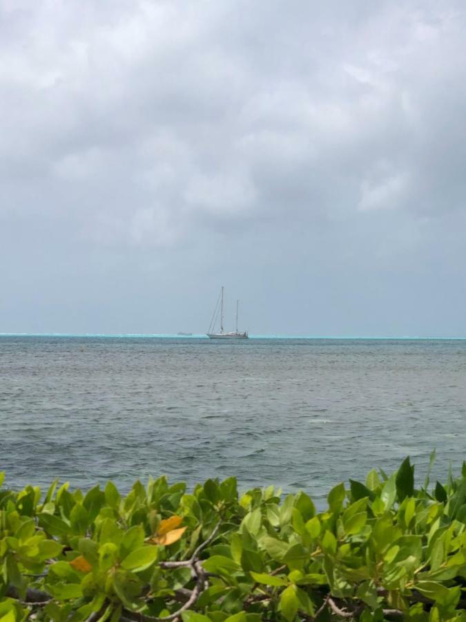 Apartamento Sunrise Con Vista Interna O Con Vista Al Mar San Andrés エクステリア 写真